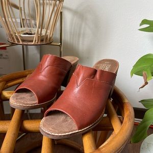 Toms Mules